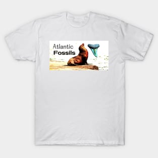 Sea Lion and Atlantic Fossils Shark Tooth T-Shirt